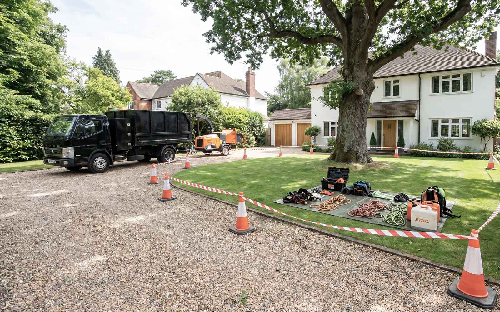 Lee Tree Surgery Work