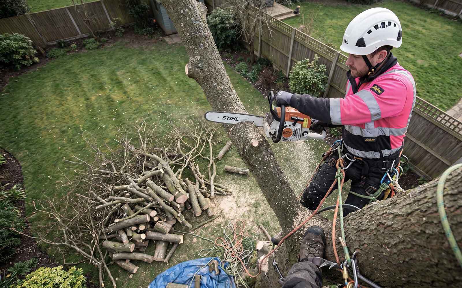 Lee Tree Surgery Work